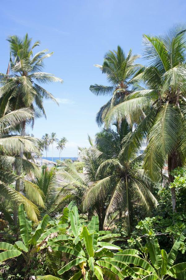 Hotel Alvas House Hikkaduwa Exterior foto